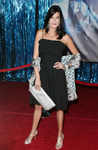 Teri Hatcher at World Premiere of the film 'Enchanted' at the El Capitan Theatre, Hollywood, California, on Nov 17