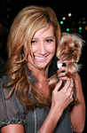 Ashley Tisdale at DVD Benefit Premiere Launch of 'High School Musical 2' in Hollywood, on Nov 19