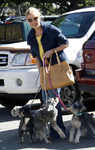 Katherine Heigl takes her four dogs, Weezer, Stella, Romeo and Piper to a grooming salon, Los Angeles, on Jan 30