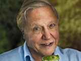 Attenborough defends Jonathan Ross