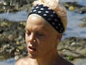 Pink 'not dating Jeremy Piven'