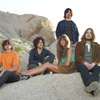 The Zutons