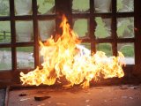 Pablo Escobar 'burnt $2m to keep warm'