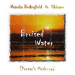 Chicane vs. Natasha Bedingfield: 'Bruised Water'