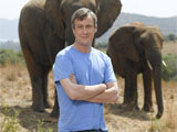 ITV recommissions 'Wild At Heart'