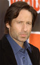 David Duchovny attending the VH1 'Rock Honors - The Who' at the Pauley Pavillion, Los Angeles