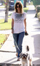 Rachel Bilson walking her dog in Los Angeles