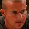 Dominic Purcell ('Prison Break')