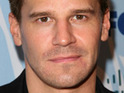 Boreanaz, Panettiere to present at Emmys