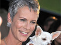 Curtis: 'Photographers focus on flaws'