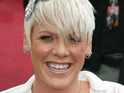 Pink 'attacked by crazed frog'