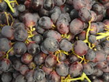 Woman in 100ft grape vat plunge