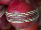 'Ashes Cricket 09' given release date