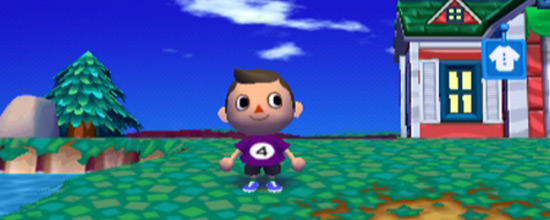 Animal crossing let's go 2024 to the city ds