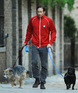 David Duchovny out and about with his dogs in New York