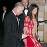 Prince Charles at the Mosaic Talent Awards at The Natural History Museum