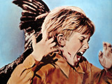 'The Birds' remake gains momentum
