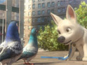 Bolt