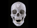 Artist: 'Hirst could shoot himself'