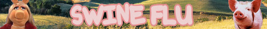 Swine Flu