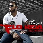 Flo Rida ft. Wynter: 'Sugar'
