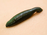 Burglar 'caught after leech bite'