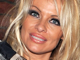 Anderson 'to host Baywatch club night'