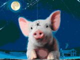 Sega plans flurry of movie-related games