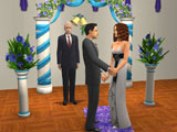 'Sims' plan celebration with expansion pack