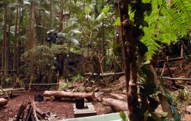 'Celebrity' contestants prepare for jungle stay