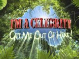 'Celebrity' final brings in 9.5 million for ITV