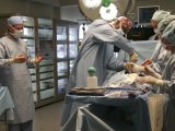 'Grey's Anatomy' wins gay award