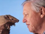 UKTV plans Attenborough documentaries