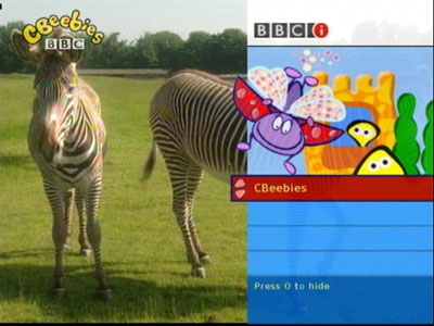 BBCi on Telewest: CBeebies Bridge